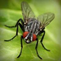 /album/enderdarkbels/photolia-a01-jpg/