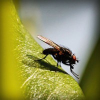 /album/enderdarkbels/photolia-a04-jpg/