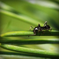 /album/enderdarkbels/photolia-a05-jpg/