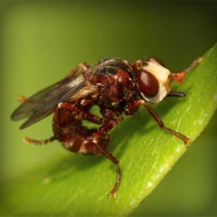 /album/enderdarkbels/photolia-a06-jpg/