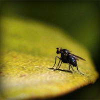 /album/enderdarkbels/photolia-a07-jpg/